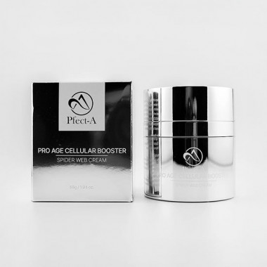 SPIDER WEB CREAM